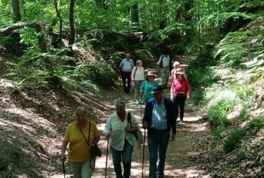 TRES BELLE BALADE ORGANISEE AU DEPART DU BOIS DES REVES !